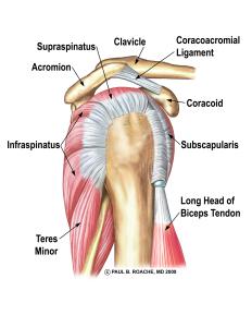 Lat View RC Labeled